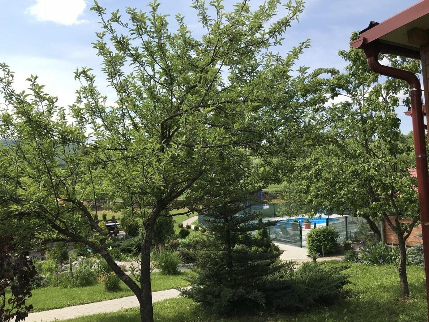 Apartments San - With Pool; Rakovica Exterior foto